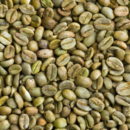 Arabica Coffee Beans