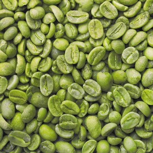 Robusta Coffee Beans for sale - Image 3
