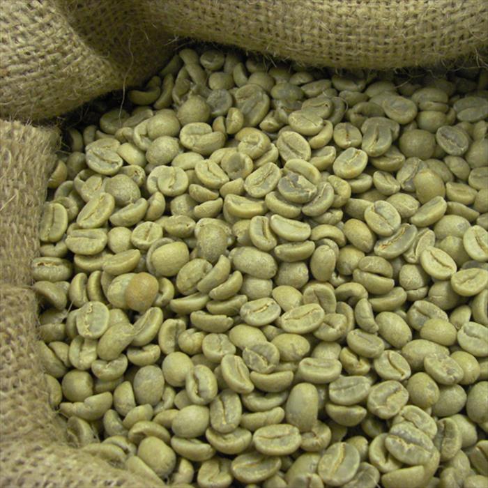 Robusta Coffee Beans for sale