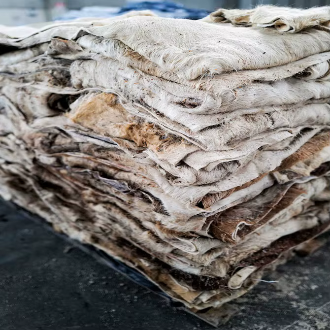 Cow Skin for sale - Image 4